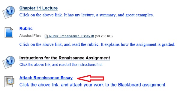 Renaissance essay